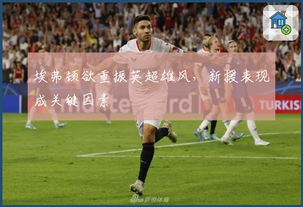 埃弗顿欲重振英超雄风，新援表现成关键因素