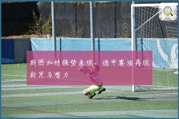 斯图加特强势表现，德甲赛场再现新黑马潜力
