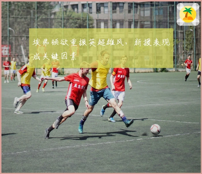 埃弗顿欲重振英超雄风，新援表现成关键因素